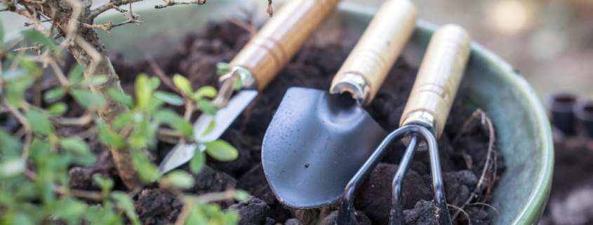 Garden tools on bonsai pot