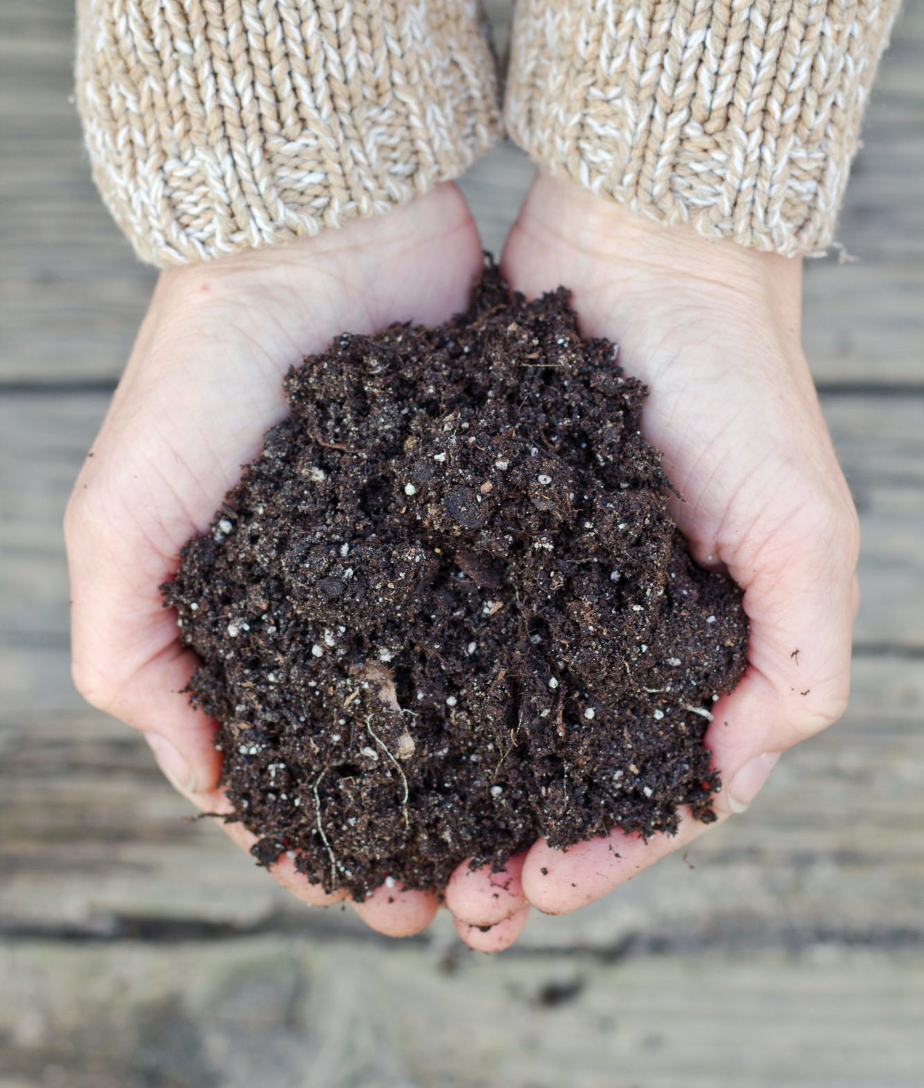 Rich soil in open hands