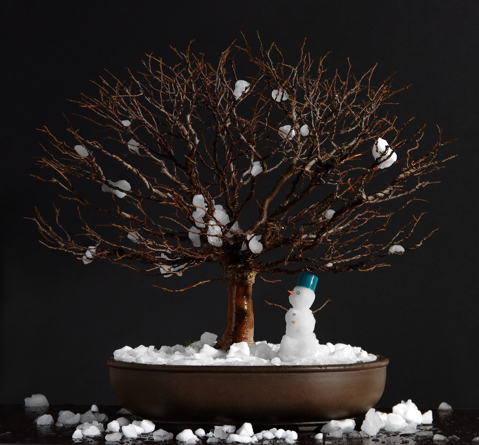 Bonsai with snow and snowman