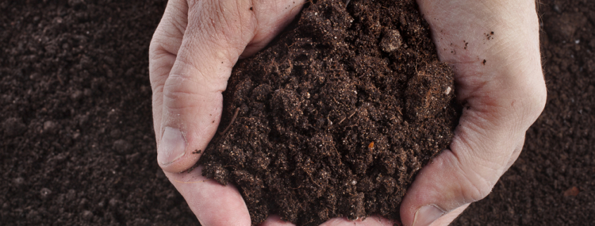 Hands holding rich soil