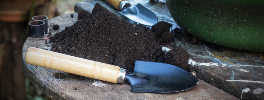 Garden tools, bonsai pot