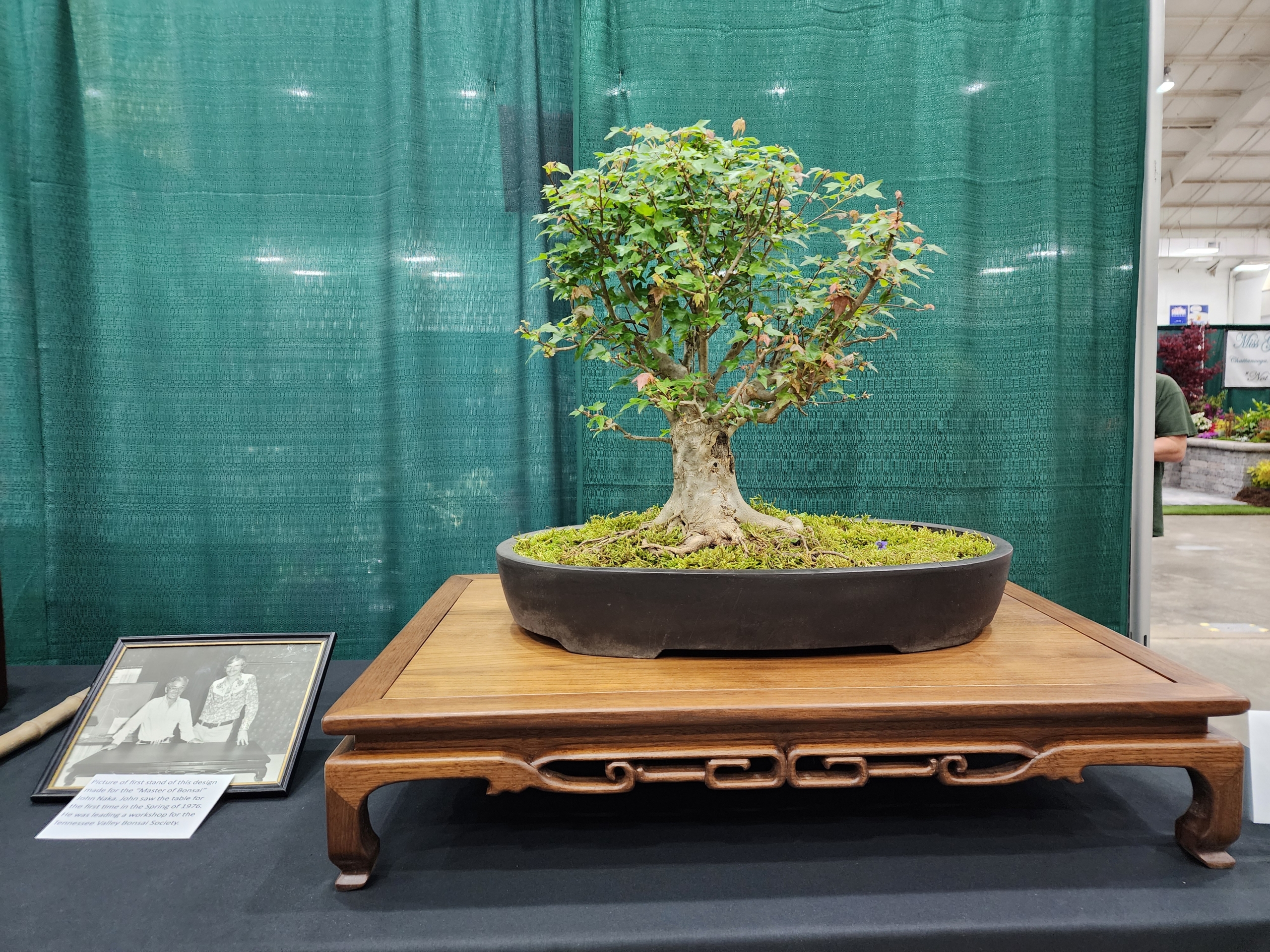 2024 Bonsai Show