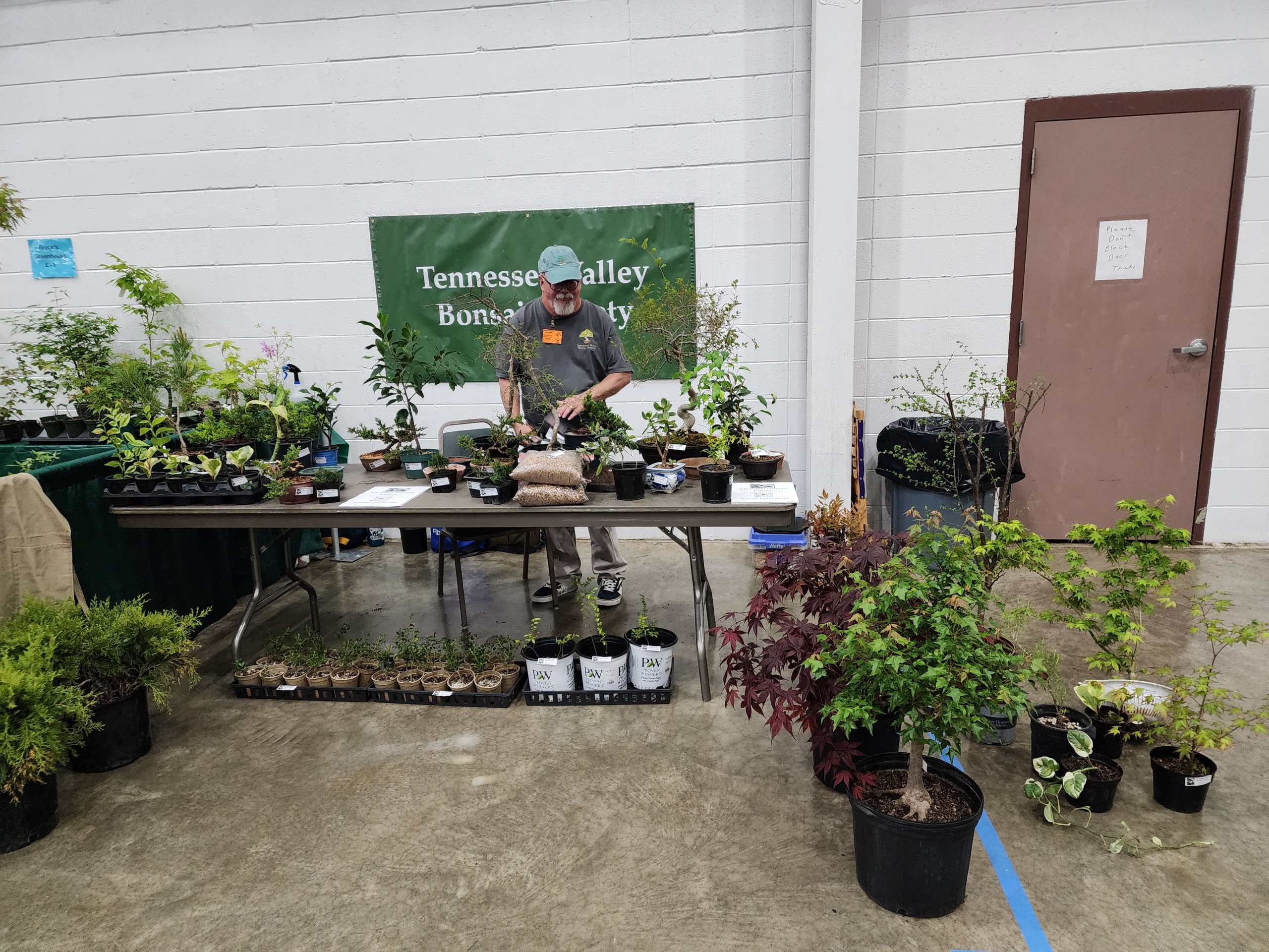 2024 Bonsai Show